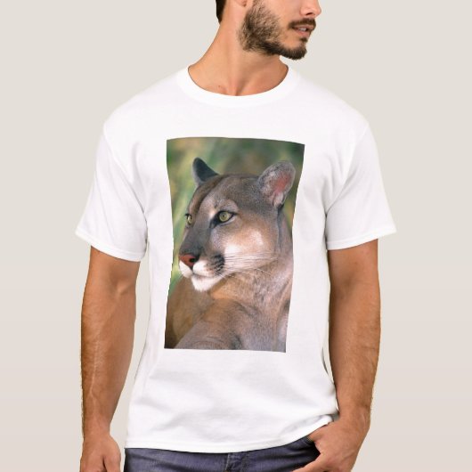 カリフォルニアクーガー Tシャツ (正面)