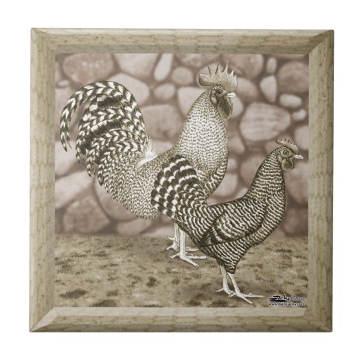 カリフォルニアグレー鶏 タイル (正面)