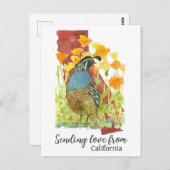カリフォルニアケシからの愛の送信 ポストカード (正面/裏面)