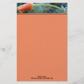 カリフォルニアケシの朝の霜の写真 パーソナライズド 便箋 (正面)
