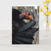 カリフォルニアコンドル慎重に黒い羽毛をプレーンズ カード (黄色い花)