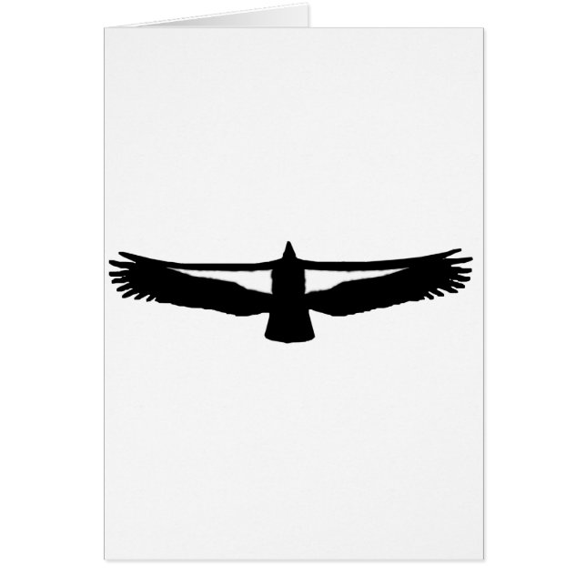 カリフォルニアコンドル (正面)