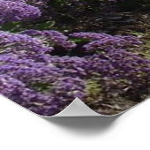 カリフォルニアコーストラインプリント ポスター (角)