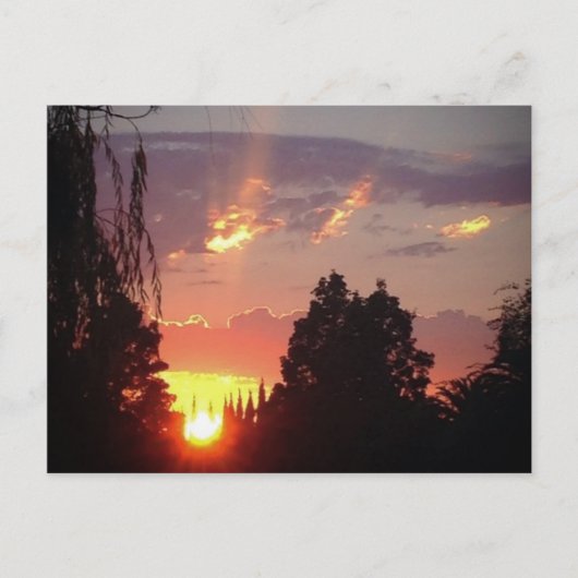 カリフォルニアサンセットはがき ポストカード (正面)