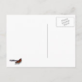 カリフォルニアサンセットウェーブズ海シースケープ ポストカード (裏面)