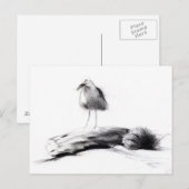 カリフォルニアシーガル2012 ポストカード (正面/裏面)