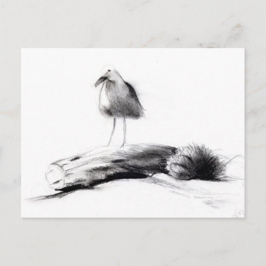 カリフォルニアシーガル2012 ポストカード (正面)