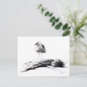 カリフォルニアシーガル2012 ポストカード (スタンド正面)