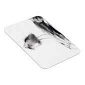 カリフォルニアシーガル2012 マグネット (右側)