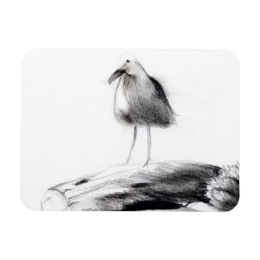 カリフォルニアシーガル2012 マグネット (横)