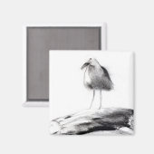 カリフォルニアシーガル2012 マグネット (正面/裏面)