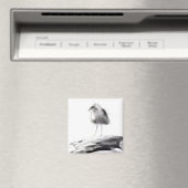 カリフォルニアシーガル2012 マグネット (インサイチュ (食洗機))