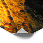 カリフォルニアシーキュウリーラブ – ファインアートプリント ポスター (角)