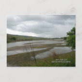 カリフォルニアシーズンズコヨーテクリーク ポストカード (正面)