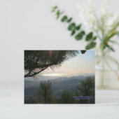 カリフォルニアシーズンズ – SFベイエリア – はがき (スタンド正面)