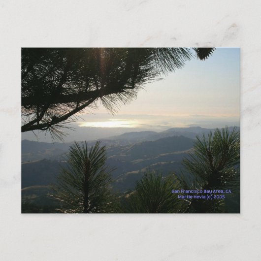 カリフォルニアシーズンズ – SFベイエリア – はがき (正面)