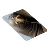 カリフォルニアシーライオン休息 マグネット (右側)