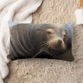 カリフォルニアシーライオン休息 ランバークッション (ブランケット)