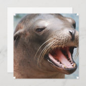 カリフォルニアシーライオン招待状 招待状 (正面/裏面)