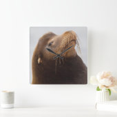 カリフォルニアシーライオン スクエア壁時計 (ホーム)