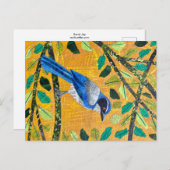 カリフォルニアスクラブジェイ ポストカード (正面/裏面)