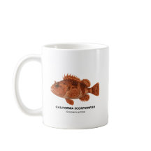 カリフォルニアスコピオンフィッシュ – Marine Animals of Califo