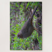 カリフォルニアトホエ ジグソーパズル (縦)