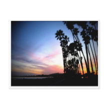 カリフォルニアドリームズ