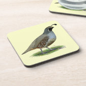 カリフォルニアバレーウイル コースター (左側)