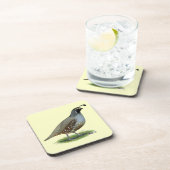 カリフォルニアバレーウイル コースター (右側)