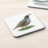 カリフォルニアバレーウイル コースター (左側)