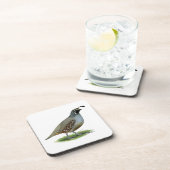 カリフォルニアバレーウイル コースター (右側)