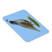 カリフォルニアバレーウイル マグネット (右側)