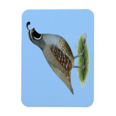 カリフォルニアバレーウイル マグネット (縦)