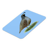 カリフォルニアバレーウイル マグネット (左側)