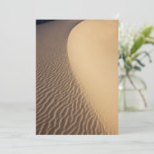 カリフォルニアバレーダネス カード (スタンド正面)