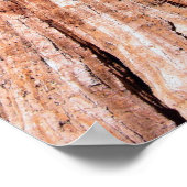 カリフォルニアパノラマ1 ポスター (角)