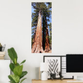 カリフォルニアパノラマ1 ポスター (ホームオフィス)