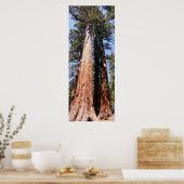 カリフォルニアパノラマ1 ポスター (キッチン)