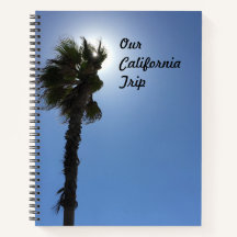 カリフォルニアパームツリー