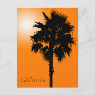 カリフォルニアパーム ポストカード