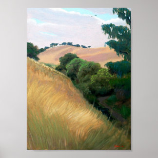 カリフォルニアヒルズ ポスター