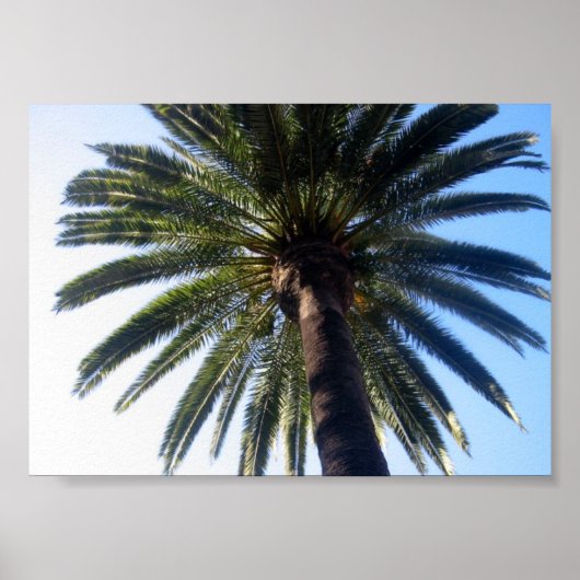 カリフォルニアビーチパームカスタムツリープリント ポスター (正面)