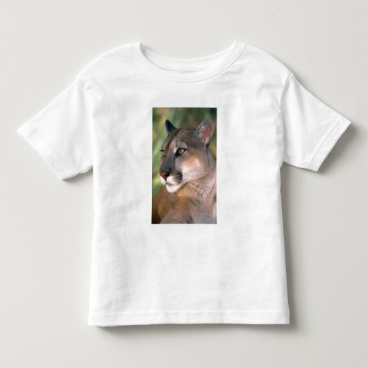 カリフォルニアピューマ トドラーTシャツ (正面)