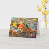 カリフォルニアフランネルブッシュ カード (黄色い花)