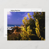 カリフォルニアフローラコーストはがき ポストカード (正面/裏面)