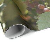 カリフォルニアブドウ園 ラッピングペーパー (ロールコーナー)