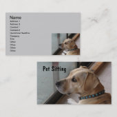 カリフォルニアペット着席の名刺 名刺 (正面/裏面)