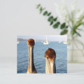 カリフォルニアペリカン ポストカード (スタンド正面)