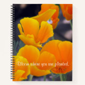 カリフォルニアポピーかわいらしズと引用文スケッチ ノートブック (正面)